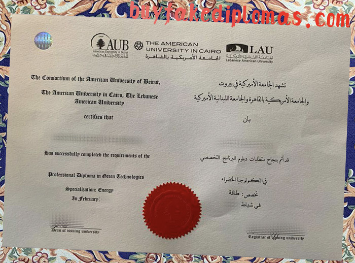 American-University-In-Cairo-Diploma.jpg