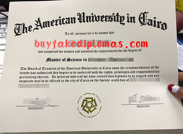 American University in Cairo diploma.png