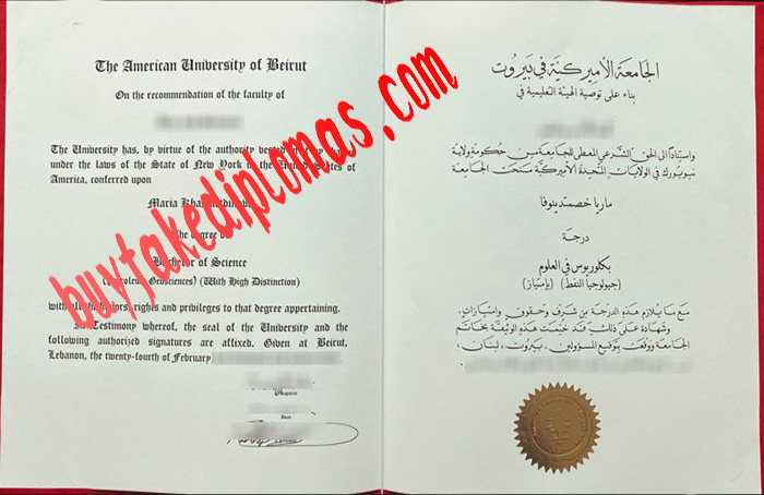 American-University-of-Beirut-diploma.jpg