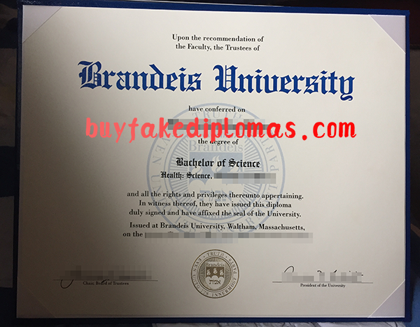 Brandeis University diploma.png