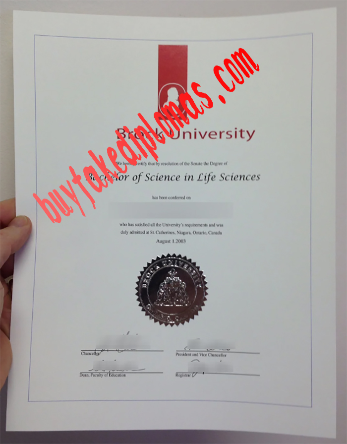 Brock University diploma.jpg