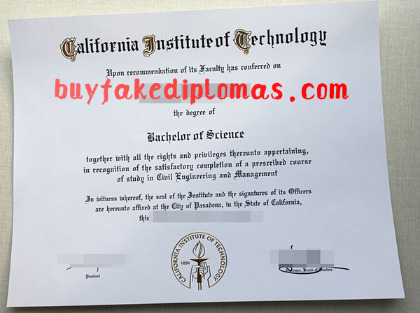 California Institute of Technology diploma.png