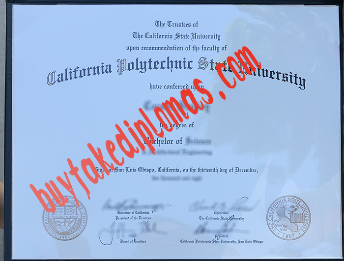 California-Polytechnic-State-University-San-Luis-Obispo-diploma.jpg