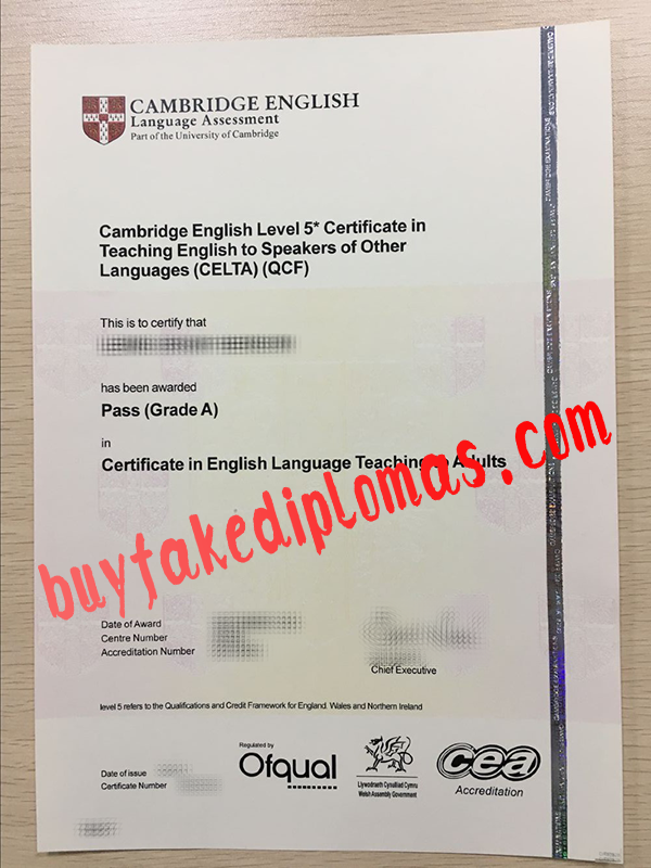 Cambridge-English-Language-Assessment-Certificate-D.png