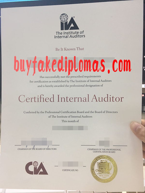 Certified-Internal-Auditor-D.png