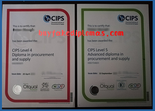 CIPS-Certificate.jpg