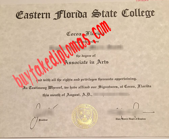 Eastern-Florida-State-Collere-diploma.jpg