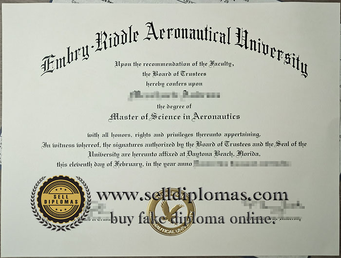 Embry-Riddle Aeronautical University.jpg