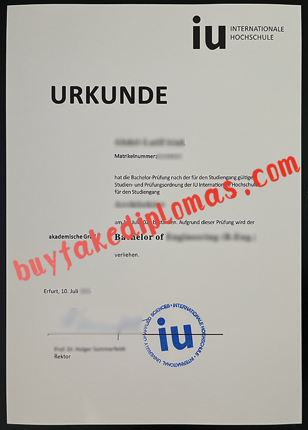 IU-Internationale-Hochschule-Diploma-d.png