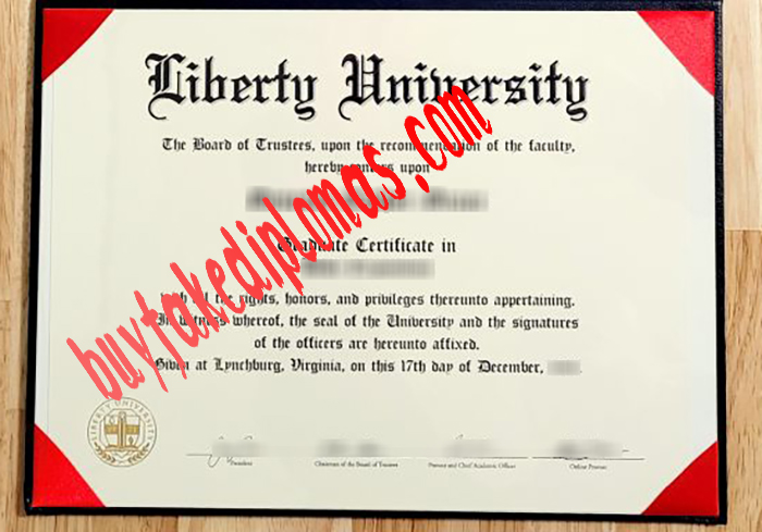 Liberty University certificate.jpg