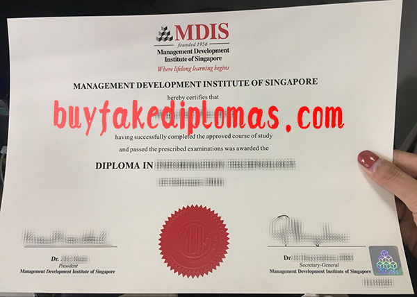 Management-Development-Institute-of-Singapore-Diploma-d.png