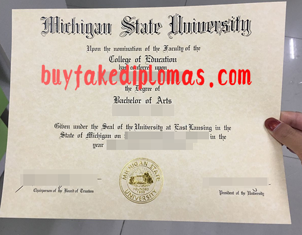 Michigan State University diploma.png