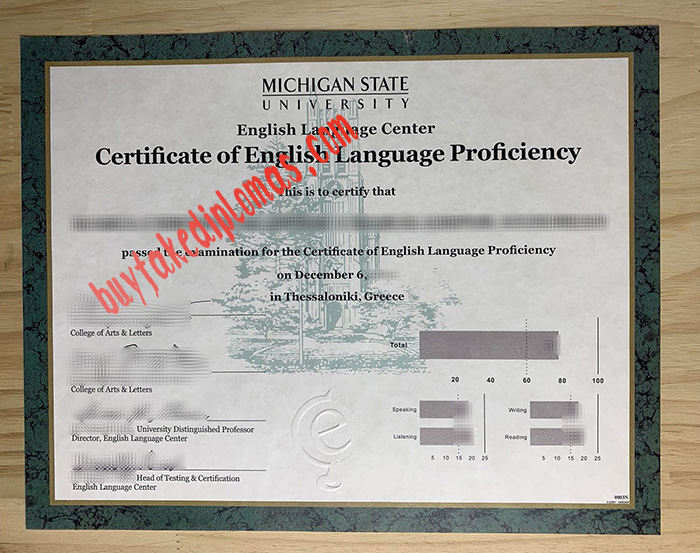 Michigan-State-University-English-Language-Center-certificate.jpg