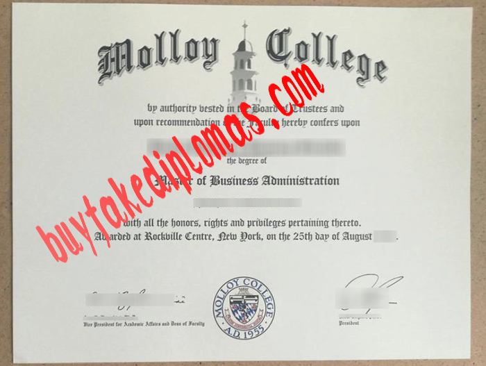 Molloy College diploma.jpg