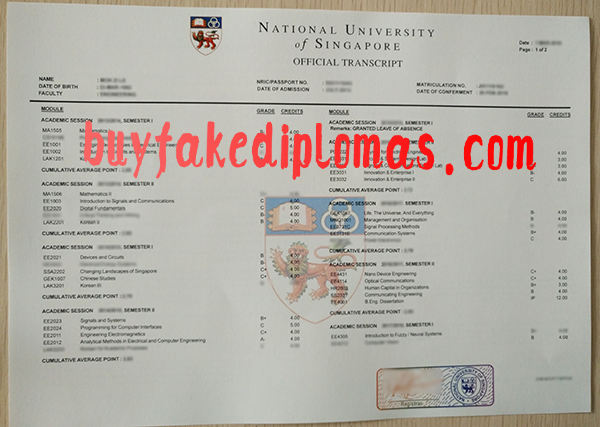 National-University-of-Signapore-Transcript-d.png