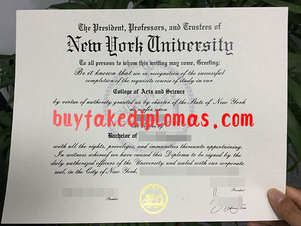 New-York-University-Diploma-d.png