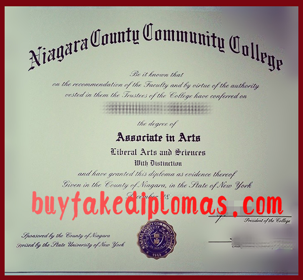 Niagara-County-Community-College-Degree.jpg