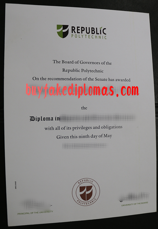 Republic-Polytechnic-Diploma-d.png