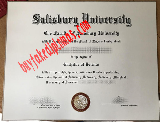 Salisbury-University-diploma.jpg
