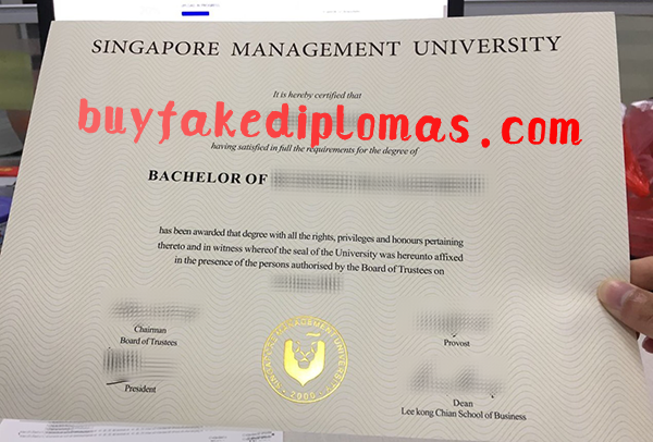 Singapore-Management-University-Diploma-d.png