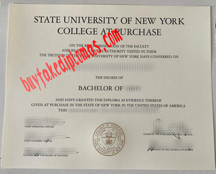 Where can buy State University of New York at Purchase College fake ...