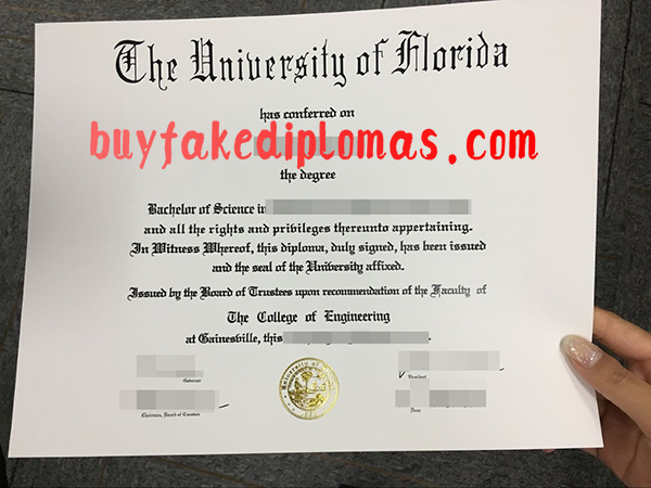 The-University-of-Florida-Degree-Sample.png