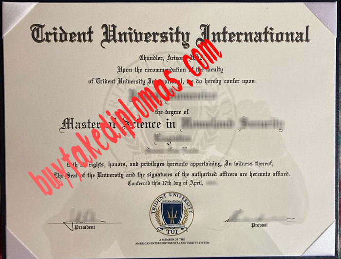 Trident University International diploma.jpg