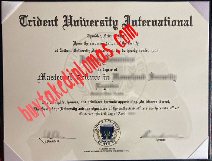 Trident-University-International-diploma.jpg