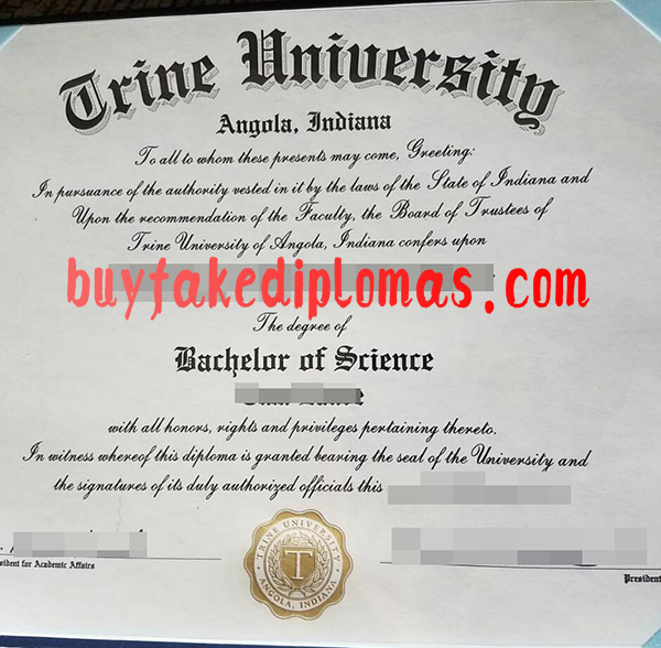 Trine-University-Diploma-d.png