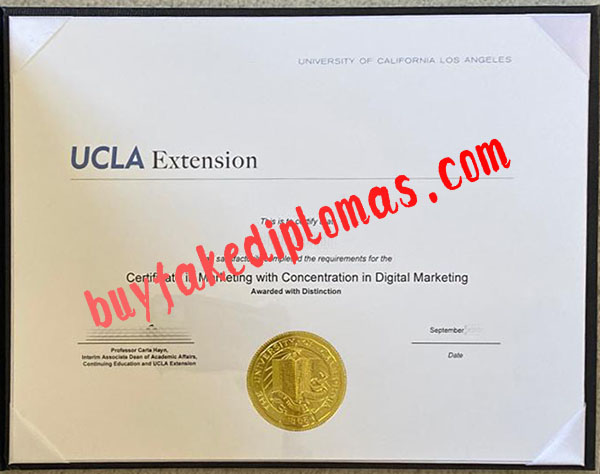UCLA-Extension-Certificate.jpg