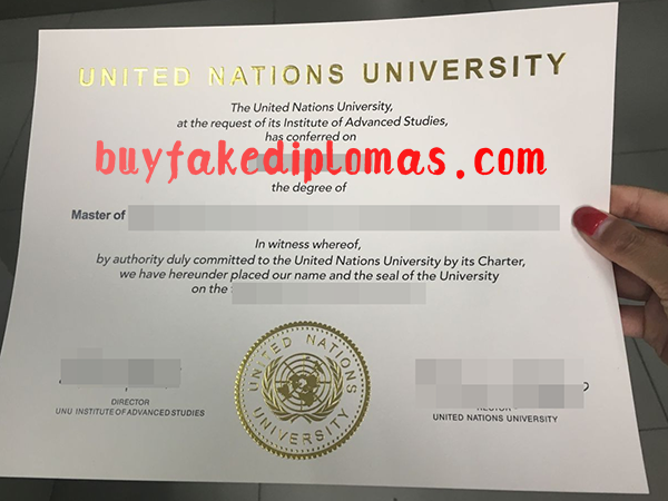 United-Nations-University-Diploma-d.png