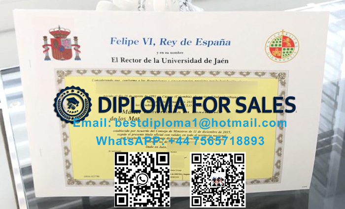 Universidad de Jaén Diploma 33.jpg