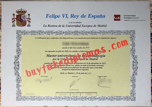 Universidad-Europea-de-Madrid-Degree (1).jpg