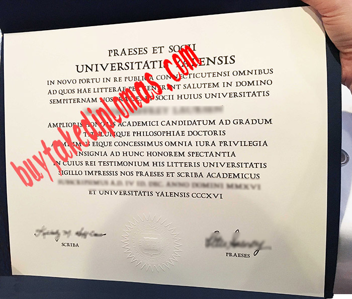 Universitatis Yalensis diploma.jpg
