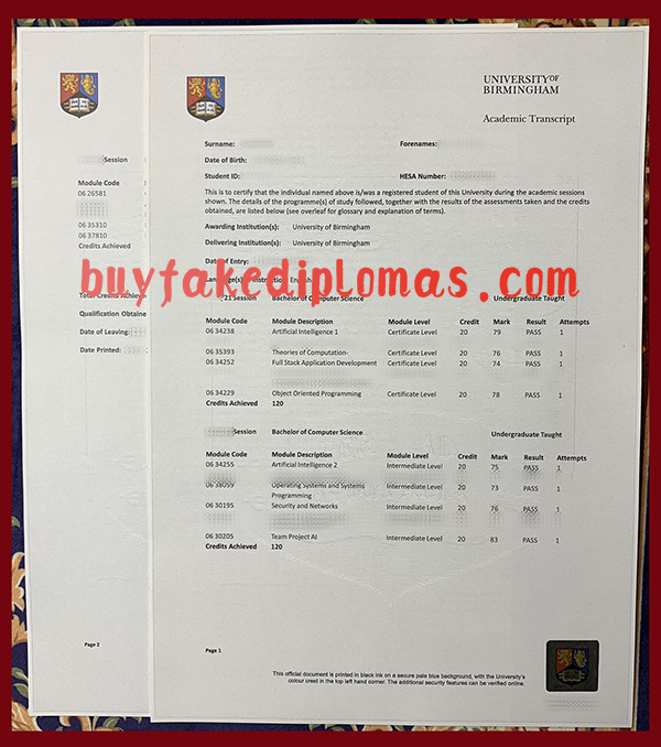 University-of-Birmingham-Transcript.jpg