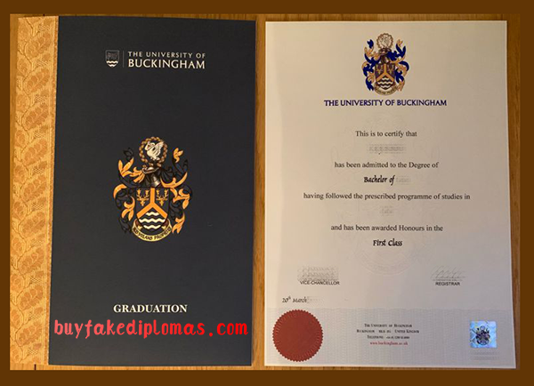 University-of-Buckingham-Degree-d.png