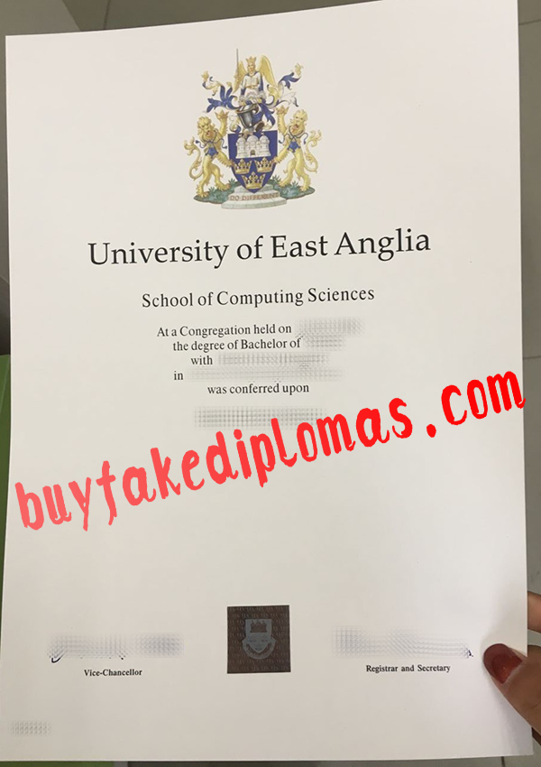 University-of-East-Anglia-Diploma-d.png