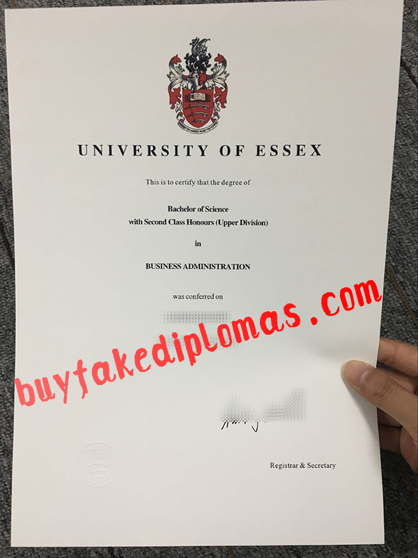 University-of-ESSEX-Diploma-d.png