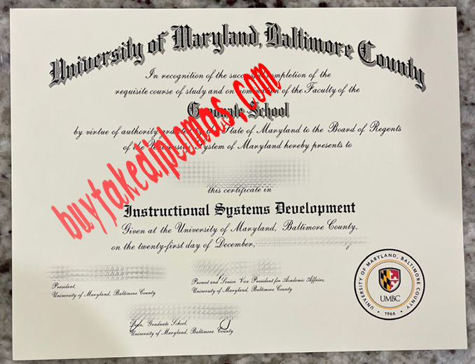 University-of-Maryland-Baltimore-Country-diploma.jpg