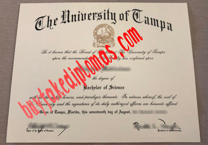 University of Tampa diploma.jpg