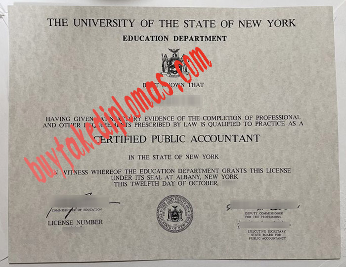 University-of-the-State-of-New-York-Education-Department-certificate.jpg