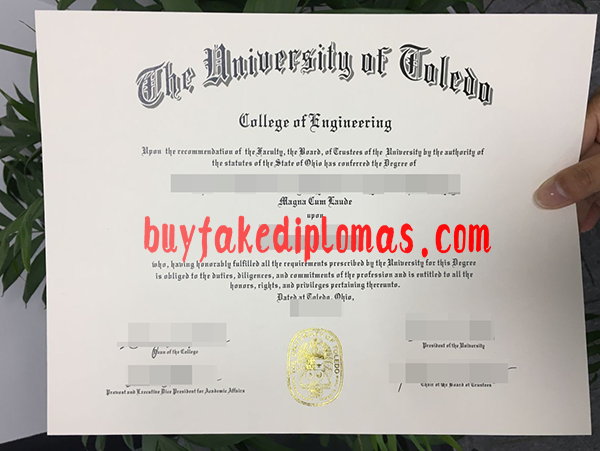 University of Toledo diploma.png