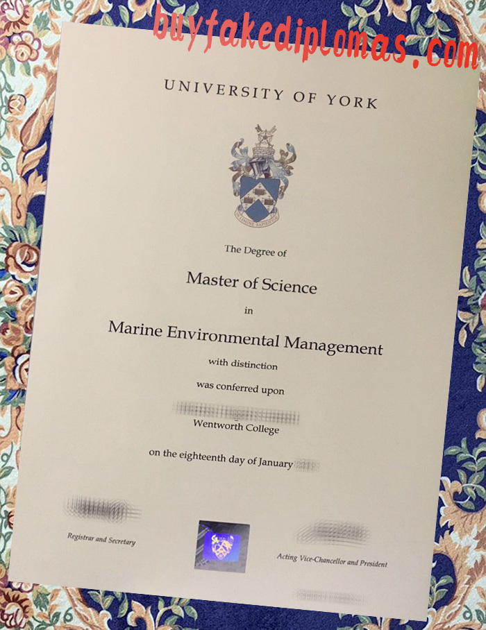 University-of-York-Degree.jpg