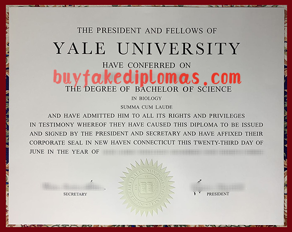 Yale-University-Degree.jpg