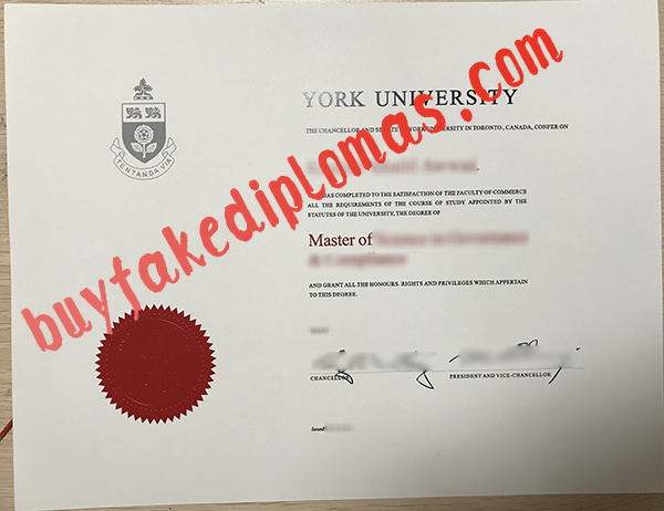 York-University-Diploma-d.png