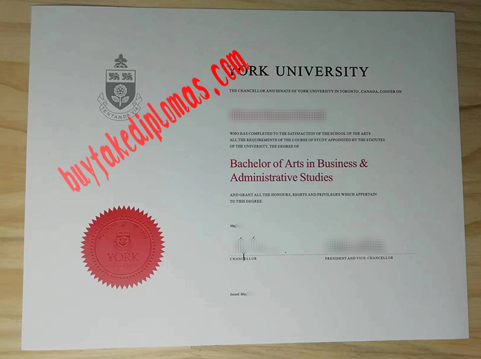 York-University-diploma.jpg