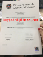 Aberystwyth-University-Diploma-D.png