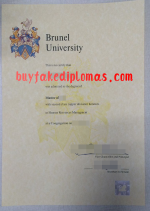 Brunel-University-Degree-Sample-.png