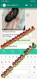 jual cytotec amanah.jpg