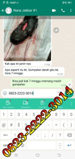 jual cytotec amanah cod.jpg